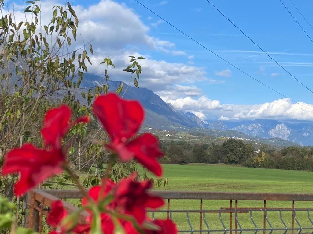 Il Mondo Roverso Feltre Bagian luar foto