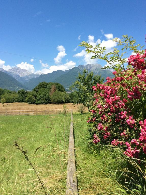 Il Mondo Roverso Feltre Bagian luar foto